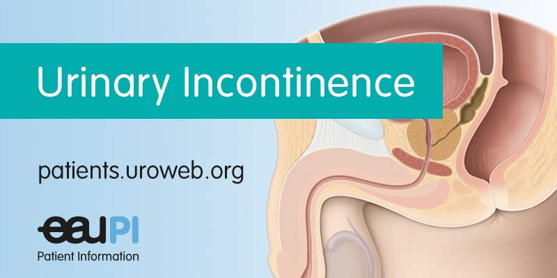 How to cure urinary incontinence? Conscious women are not ashamed to take care of their health.