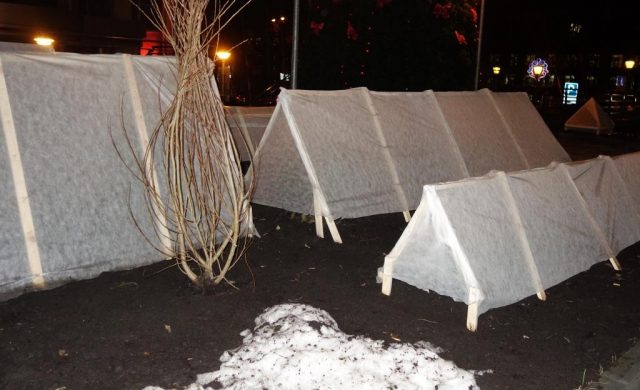 How to cut a pear in the fall: a scheme, preparation for winter in Siberia, Moscow region