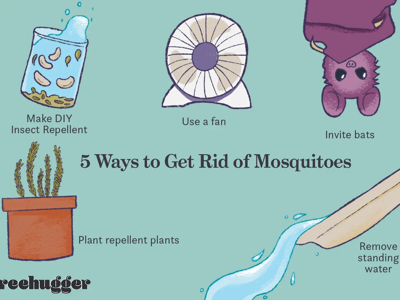 How to deal with mosquitoes? Tips and home remedies for mosquitoes