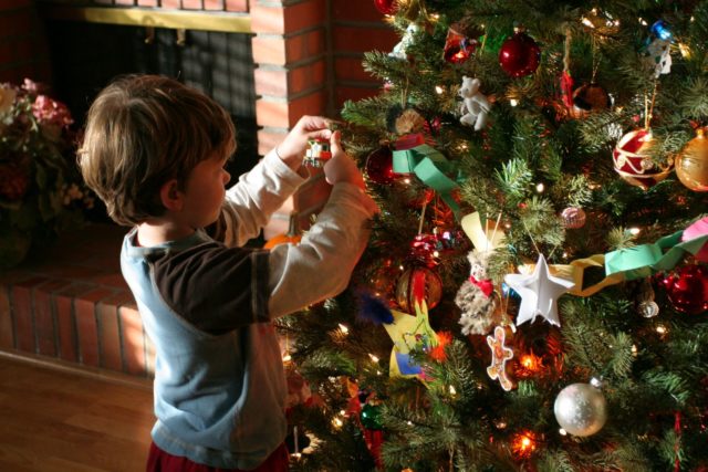 How to decorate a live Christmas tree in 2022: photos, ideas, options, tips