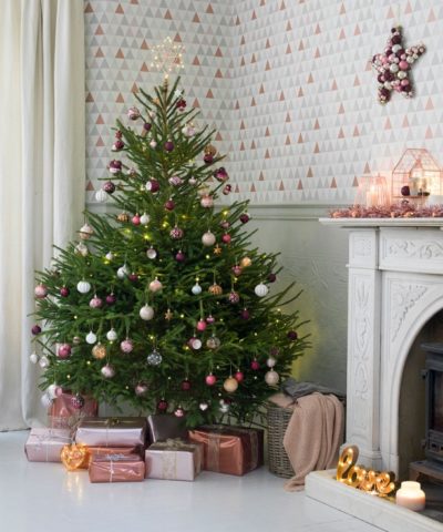 How to decorate a live Christmas tree in 2022: photos, ideas, options, tips