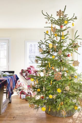 How to decorate a live Christmas tree in 2022: photos, ideas, options, tips