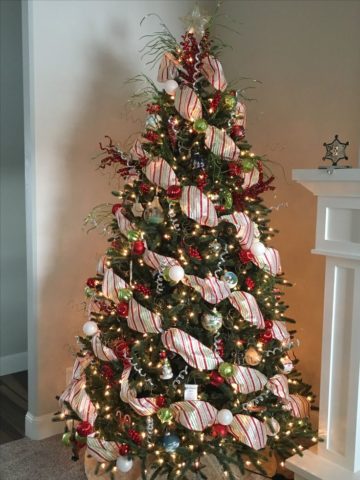 How to decorate a live Christmas tree in 2022: photos, ideas, options, tips