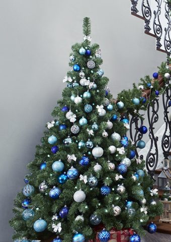 How to decorate a live Christmas tree in 2022: photos, ideas, options, tips