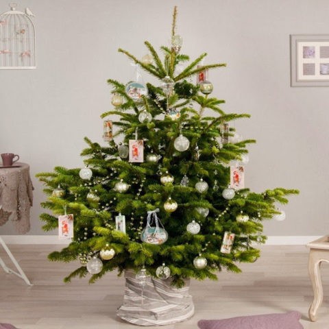 How to decorate a small Christmas tree: photos, ideas and tips