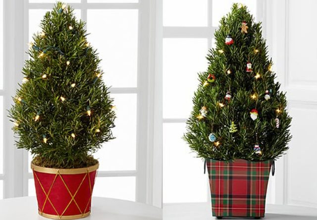 How to decorate a small Christmas tree: photos, ideas and tips