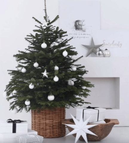 How to decorate a small Christmas tree: photos, ideas and tips