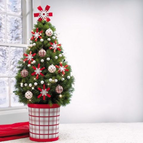 How to decorate a small Christmas tree: photos, ideas and tips