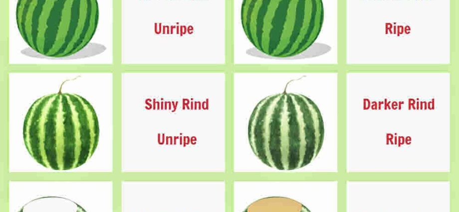 How to determine the ripeness of a melon in the garden and when to pick?