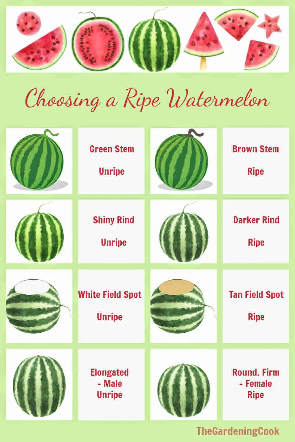 How to determine the ripeness of a melon in the garden and when to pick?