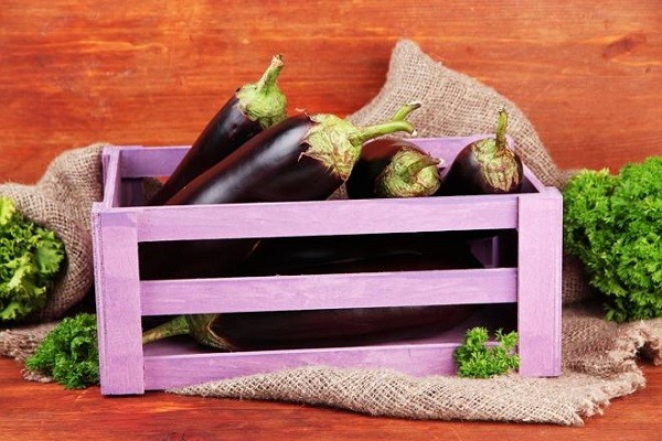 How to determine the ripeness of eggplant in simple ways