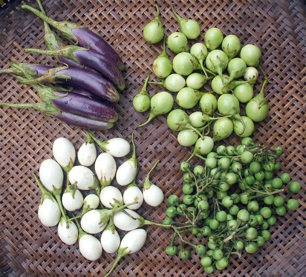 How to determine the ripeness of eggplant in simple ways