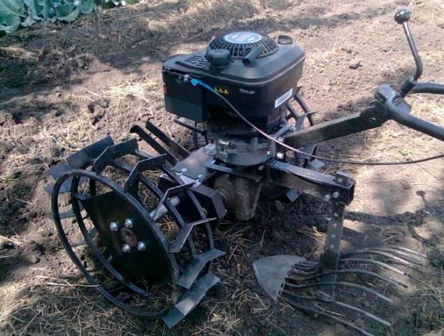 How to dig potatoes with a walk-behind tractor 