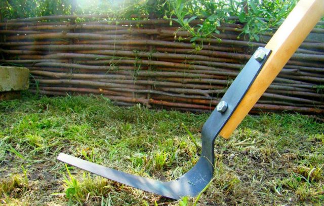 How to dig up the ground manually: with a shovel, quickly, easily, with a miracle shovel, in spring, autumn, photo, video