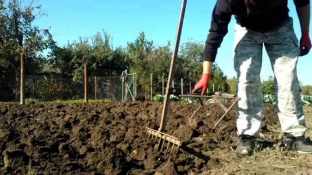 How to dig up the ground manually: with a shovel, quickly, easily, with a miracle shovel, in spring, autumn, photo, video