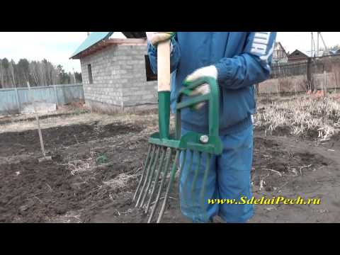 How to dig up the ground manually: with a shovel, quickly, easily, with a miracle shovel, in spring, autumn, photo, video