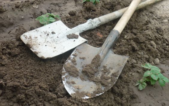 How to dig up the ground manually: with a shovel, quickly, easily, with a miracle shovel, in spring, autumn, photo, video