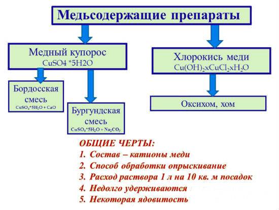 How to dilute copper sulfate for processing tomatoes