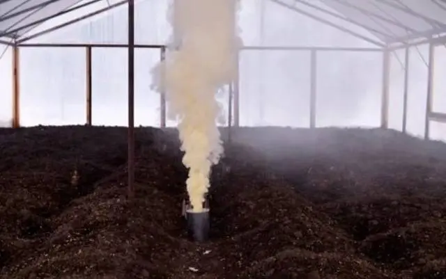 How to disinfect a chicken coop 