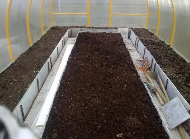 How to disinfect the soil in a greenhouse in autumn