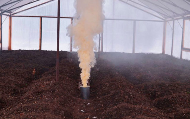 How to disinfect the soil in a greenhouse in autumn