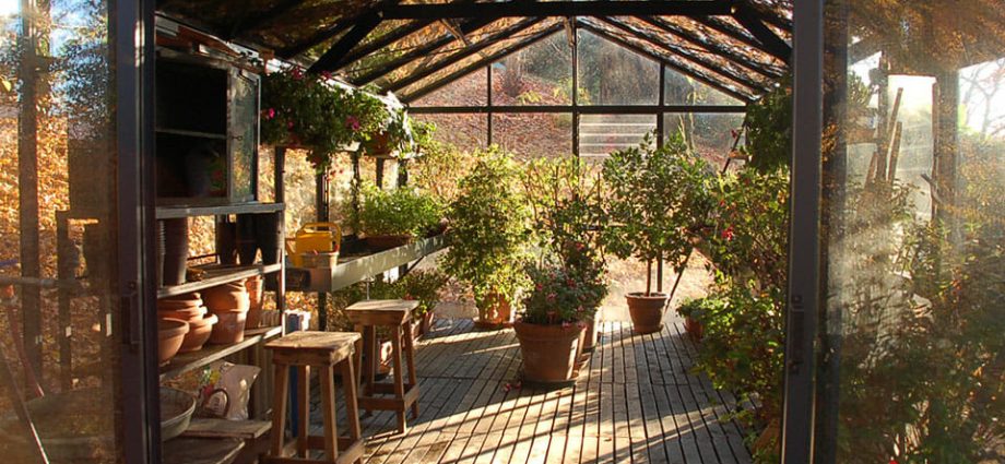 How to disinfect the soil in a greenhouse in autumn