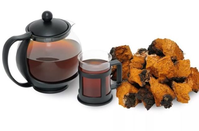 How to distinguish chaga from tinder fungus: what is the difference