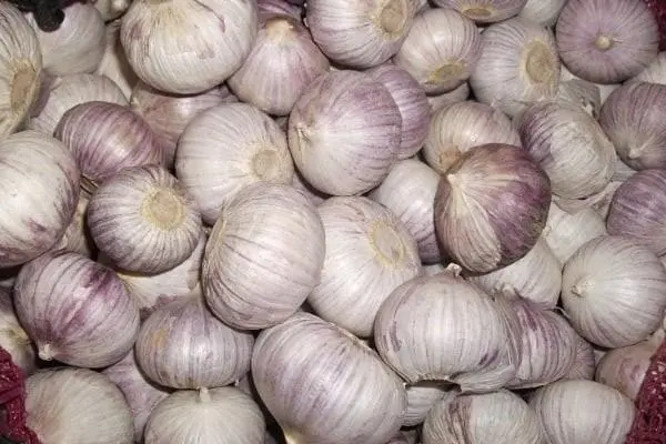 How to distinguish Chinese garlic from domestic