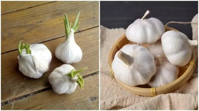 How to distinguish Chinese garlic from domestic