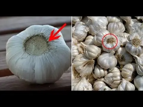 How to distinguish Chinese garlic from domestic