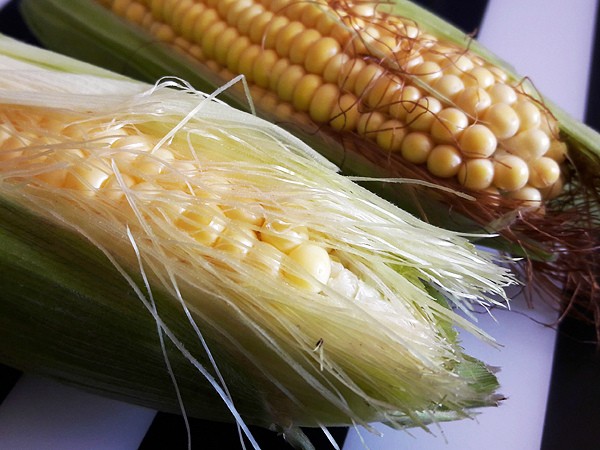 How to distinguish fodder corn from food corn in appearance