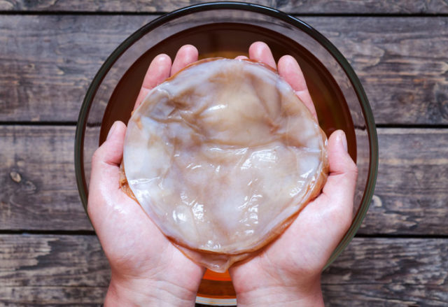 How to divide kombucha at home: video, photo