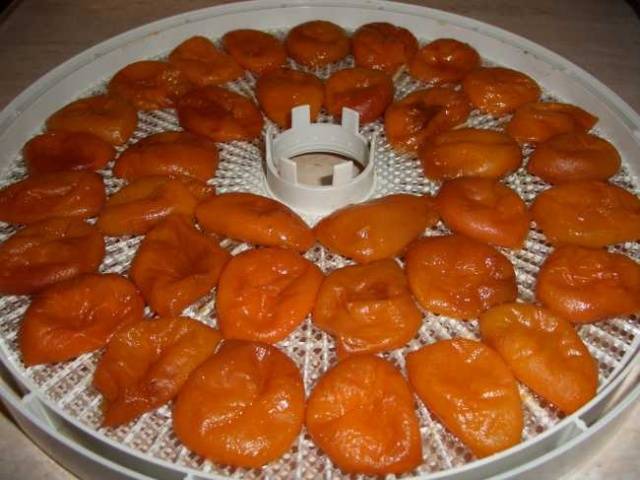 How to dry apricots for dried apricots