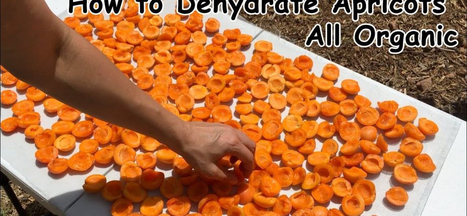 How to dry apricots for dried apricots