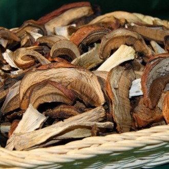 How to dry boletus at home