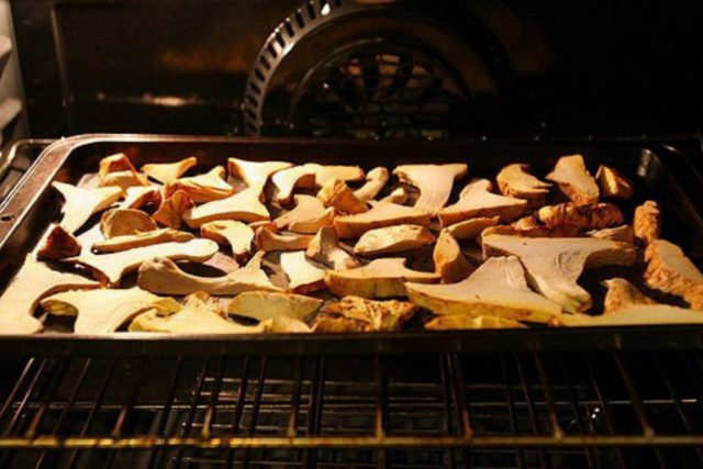 How to dry boletus at home