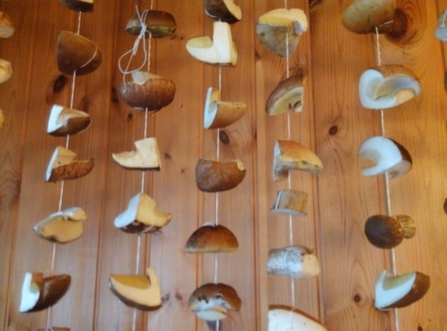 How to dry boletus at home