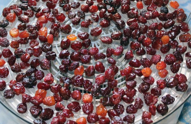 How to dry cherries at home for the winter