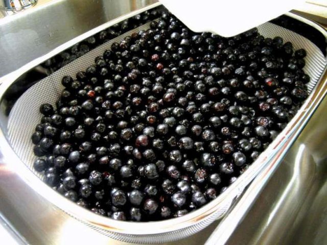 How to dry chokeberry at home