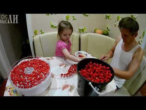 How to dry hawthorn