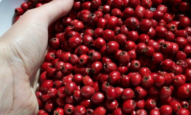 How to dry hawthorn