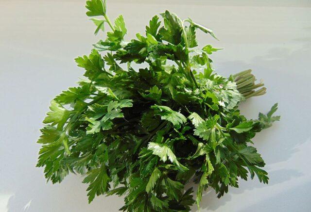 How to dry parsley for the winter at home