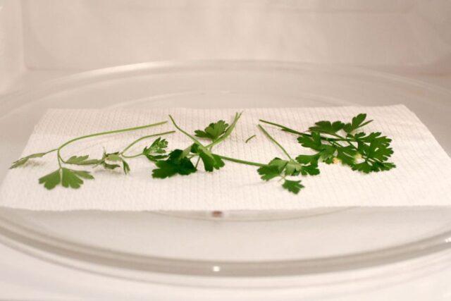 How to dry parsley for the winter at home