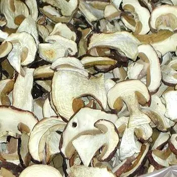 How to dry porcini mushrooms at home