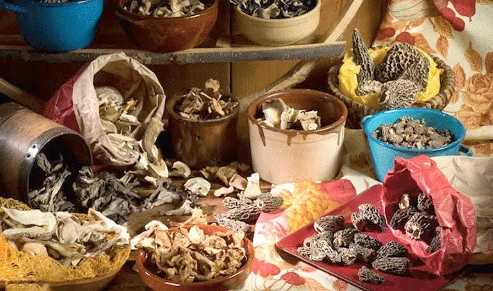 How to dry porcini mushrooms at home