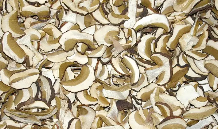 How to dry porcini mushrooms at home
