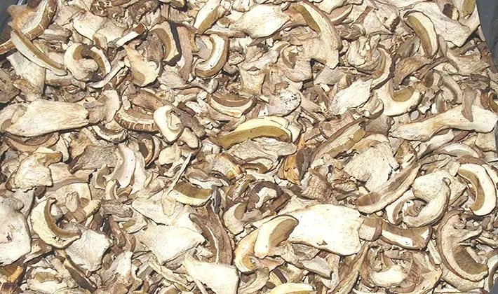 How to dry porcini mushrooms at home