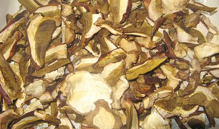 How to dry porcini mushrooms at home