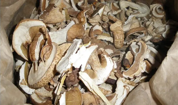 How to dry porcini mushrooms at home