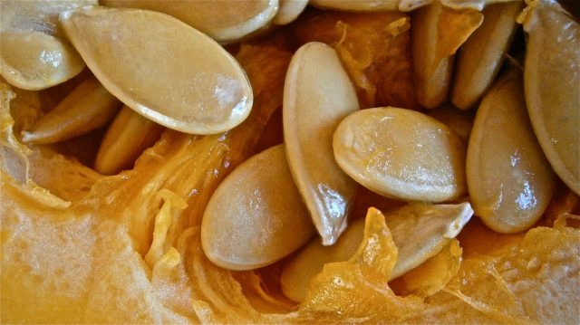 How to dry pumpkin seeds at home: in the oven, in the microwave, in a frying pan